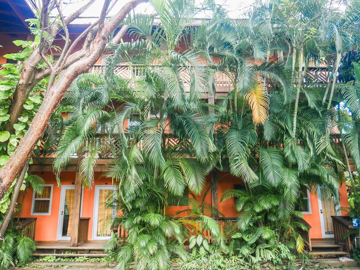 Hotel Posada Las Orquideas,West End Zewnętrze zdjęcie