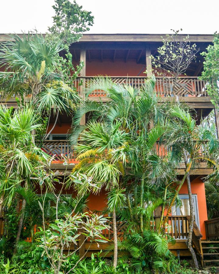 Hotel Posada Las Orquideas,West End Zewnętrze zdjęcie