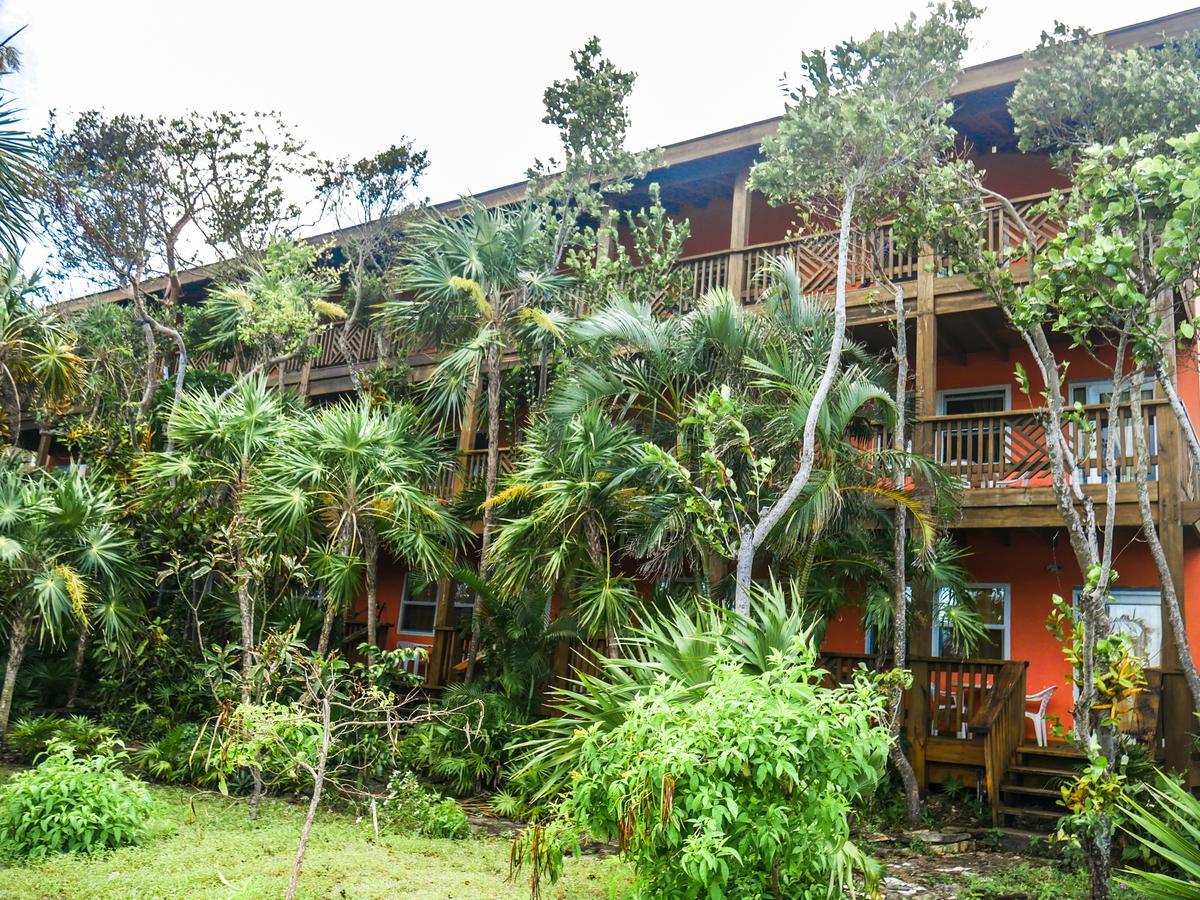 Hotel Posada Las Orquideas,West End Zewnętrze zdjęcie