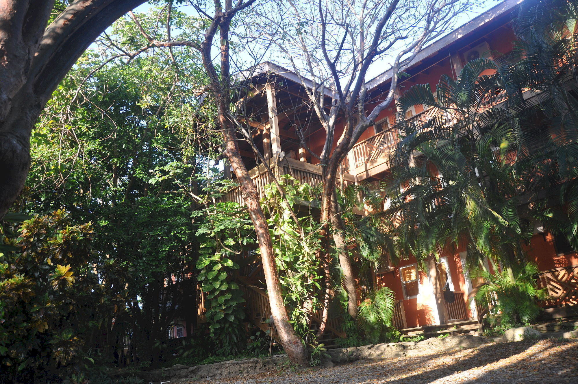 Hotel Posada Las Orquideas,West End Zewnętrze zdjęcie