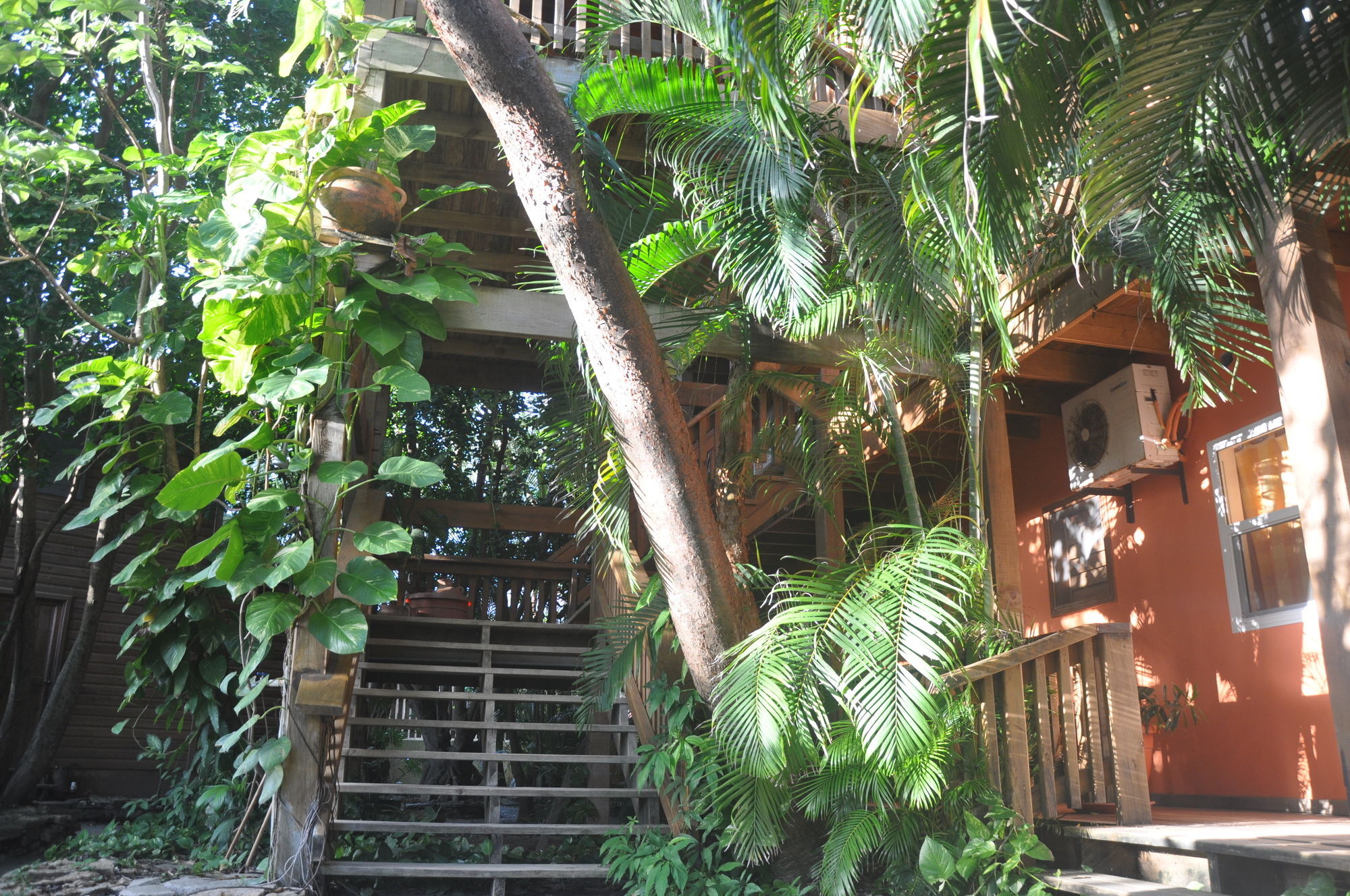 Hotel Posada Las Orquideas,West End Zewnętrze zdjęcie
